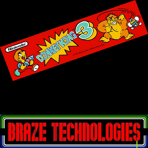 Braze Donkey Kong 3 Free Play and High Score Save Kit