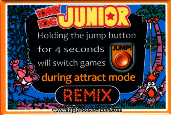 Donkey Kong Jr Remix Instruction Magnet