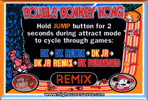Double Donkey Kong Remix Instruction Magnet